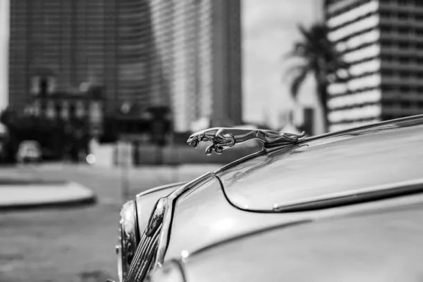 קזינו אקסטרה אפליקציית Android/iOS